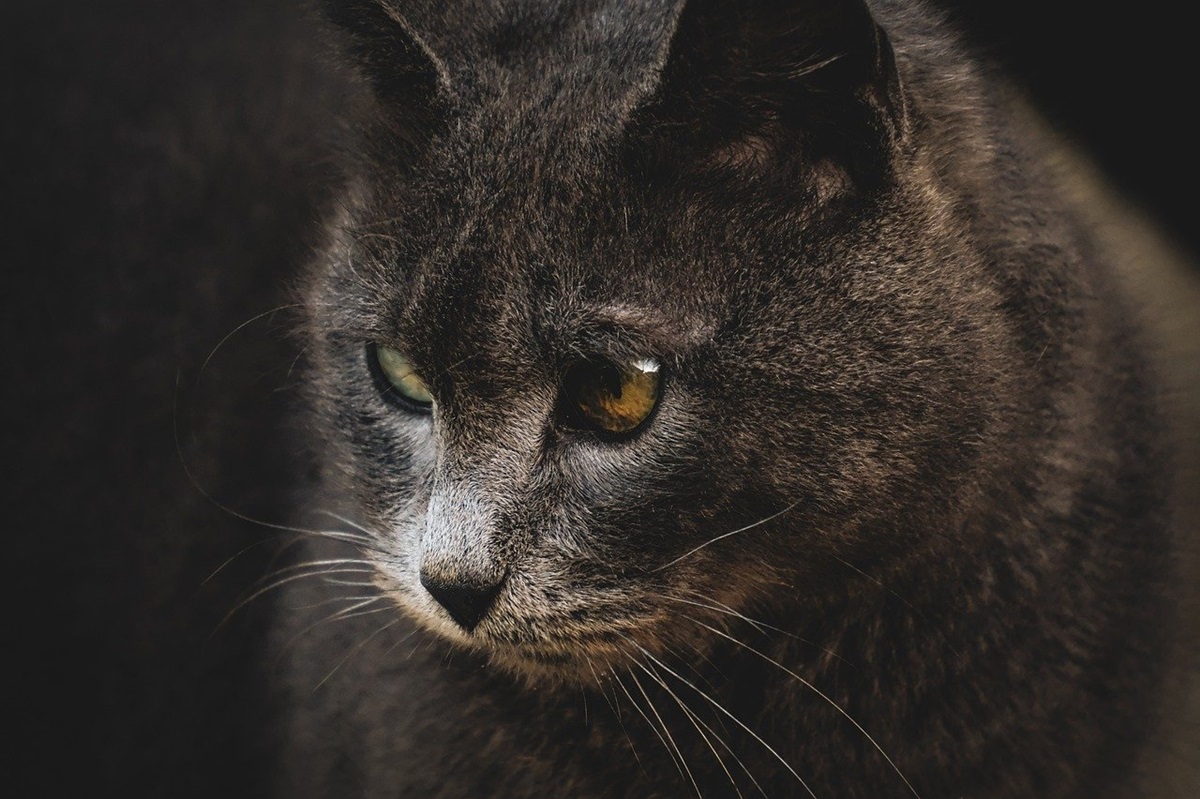 Новини культури - Гороскоп для всіх знаків зодіаку на вихідні 27-28 вересня 2025 року