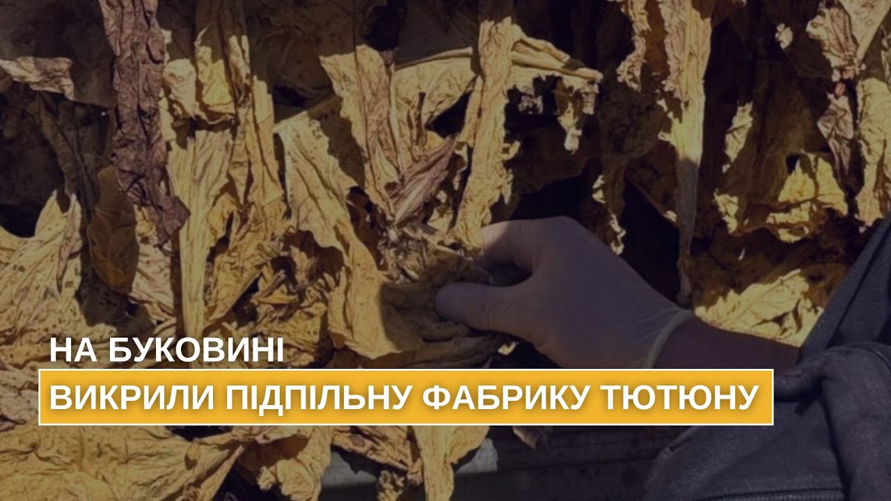 На Буковині викрито та припинено підпільне виробництво тютюну, який реалізовували по всій країні