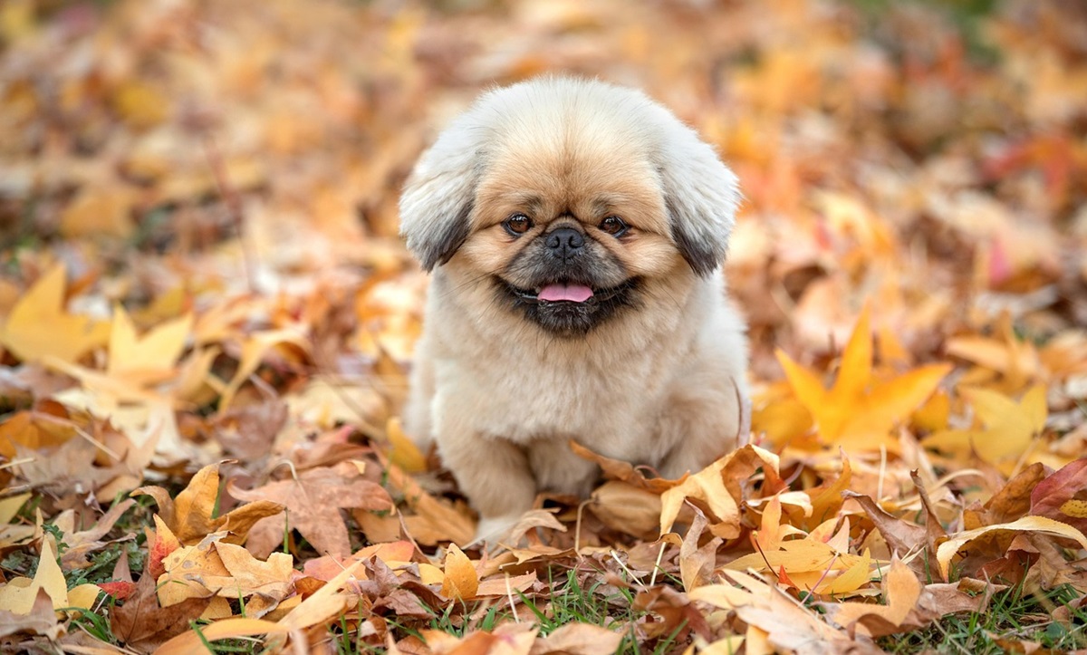 Новини України - Синоптики розповіли, якою буде погода в Україні 29 вересня