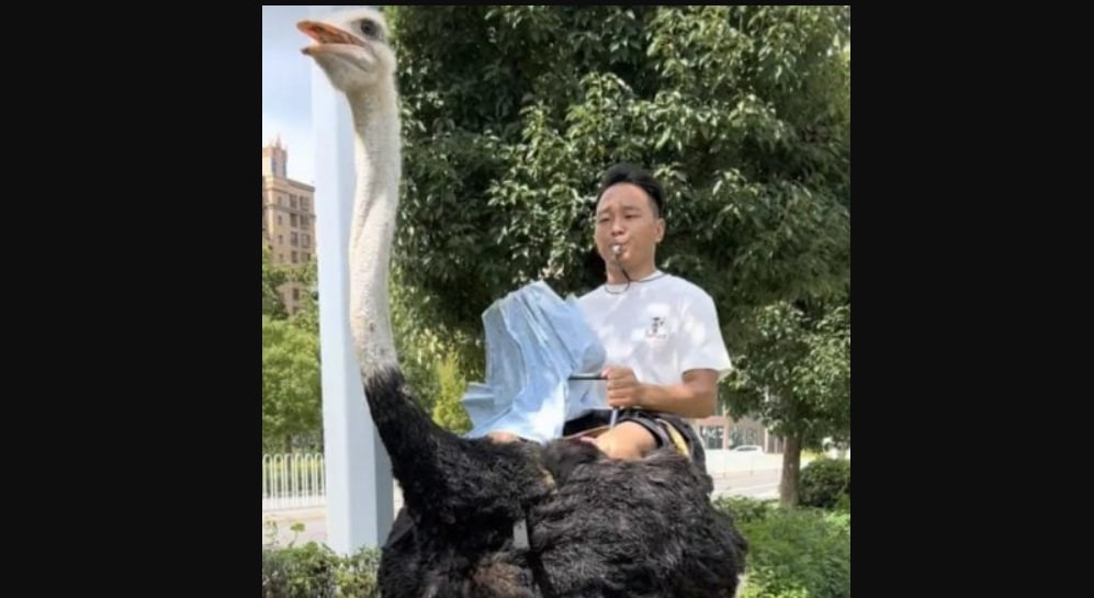 Новини світу - У Китаї чоловік понад 10 років їздить на страусі замість авто