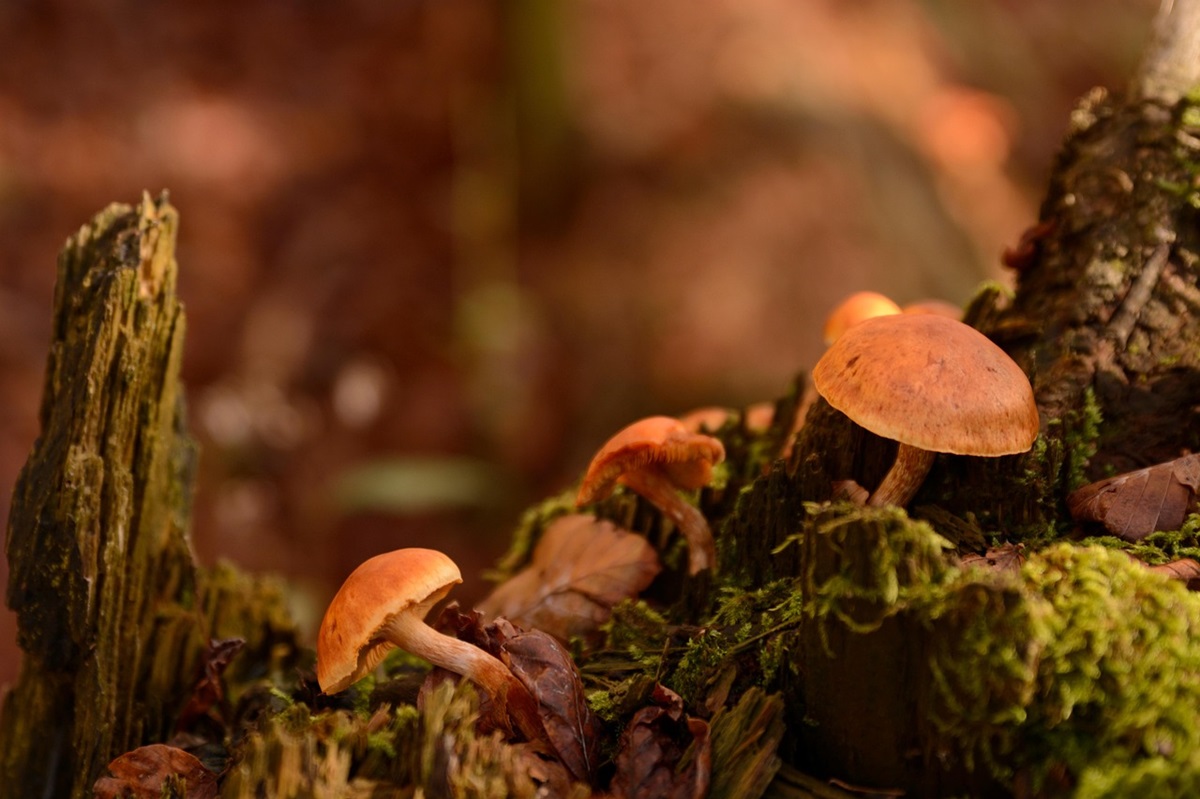 Новини культури - Гороскоп для всіх знаків зодіаку на 10 жовтня 2025 року