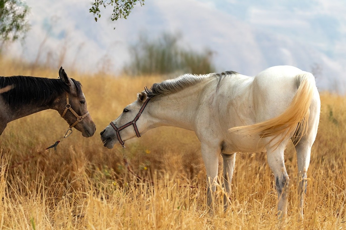 Новини культури - Гороскоп для всіх знаків зодіаку на 8 жовтня 2025 року