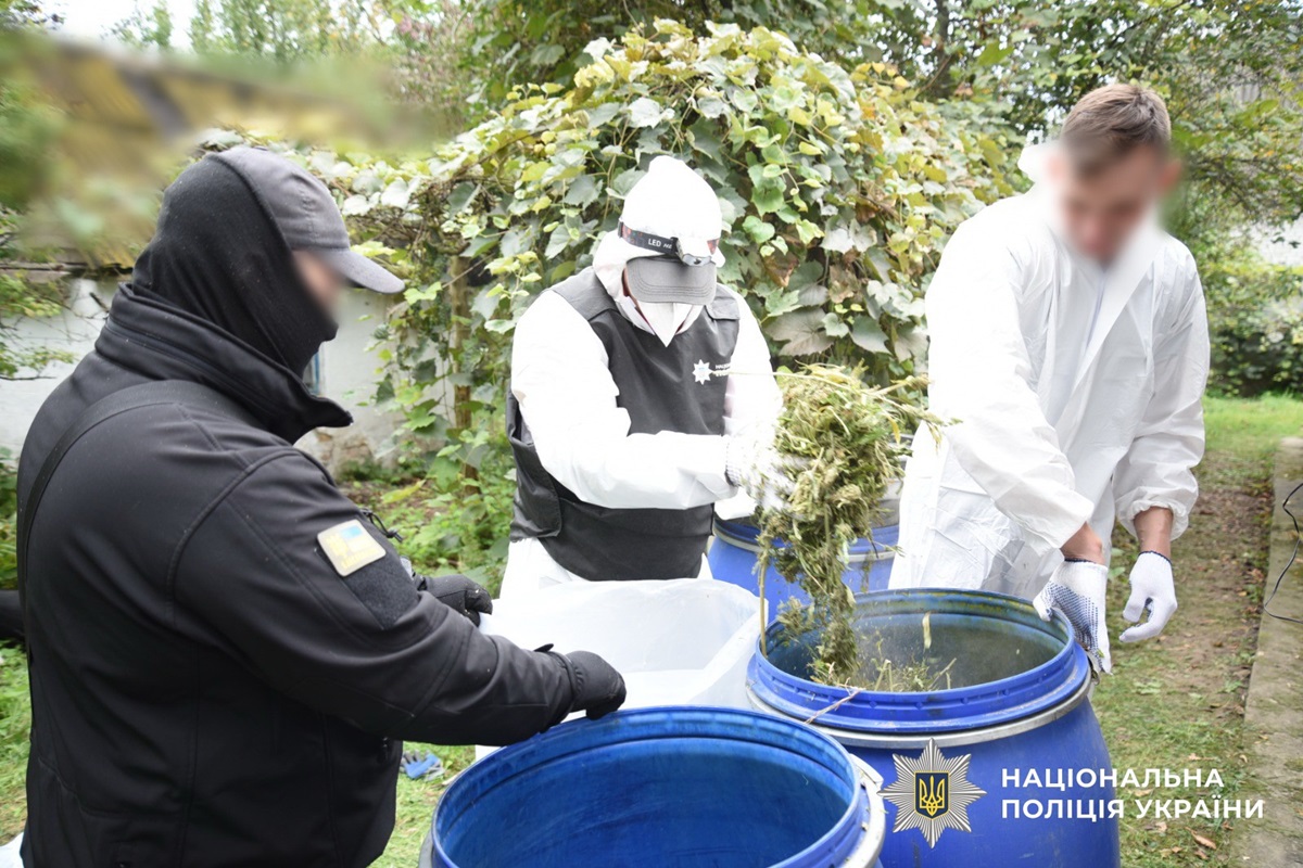 Новини України - На Київщині вилучили наркотиків на 15 млн грн