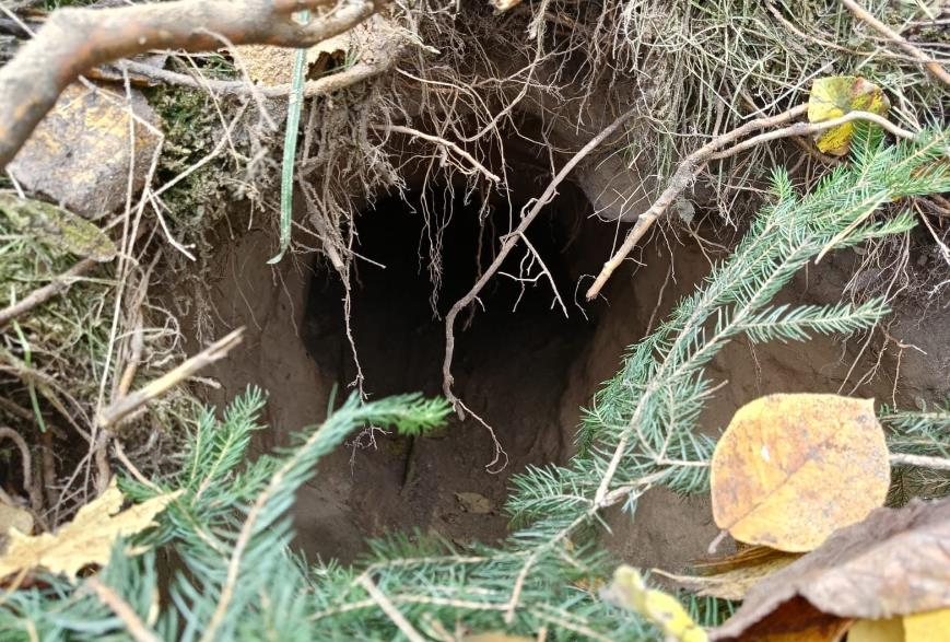 Новини світу - На кордоні між Польщею та Білоруссю виявили тунель