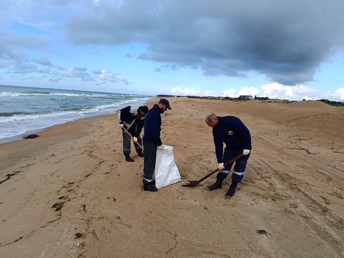 На пляжах Анапи з’явилися нові викиди мазуту