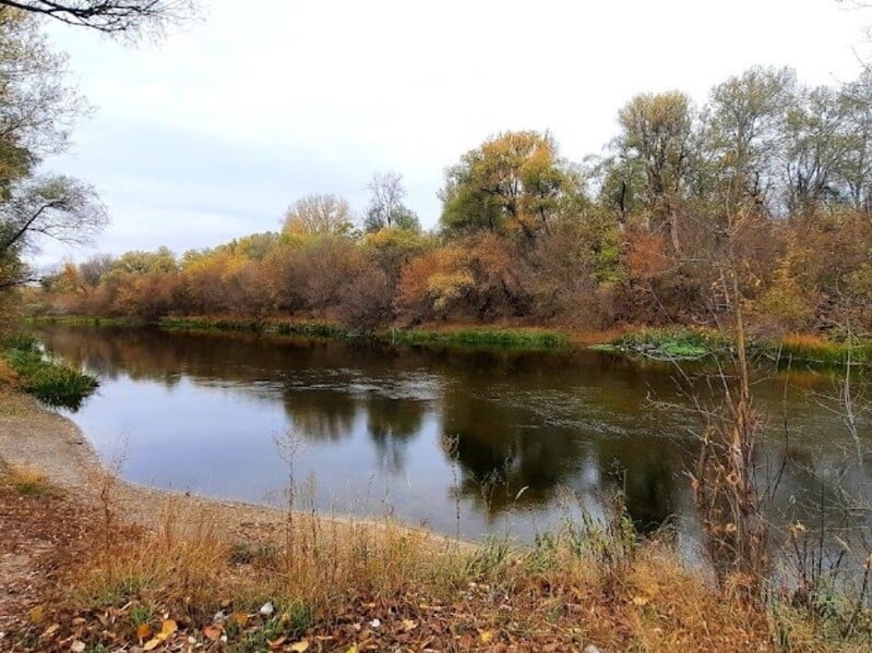 Прорив дамби РФ: чи є загроза на території України