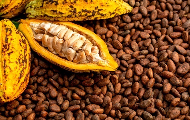 Новини бізнесу - Ціна на какао-боби впала до 20-місячного мінімуму