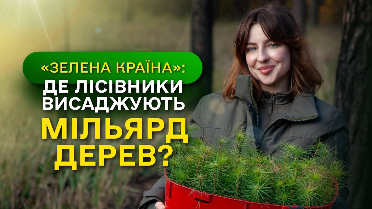 Замість уламків РАКЕТ - молодий ЛІС / ДП "Ліси України" завершує програму Президента ЗЕЛЕНА КРАЇНА