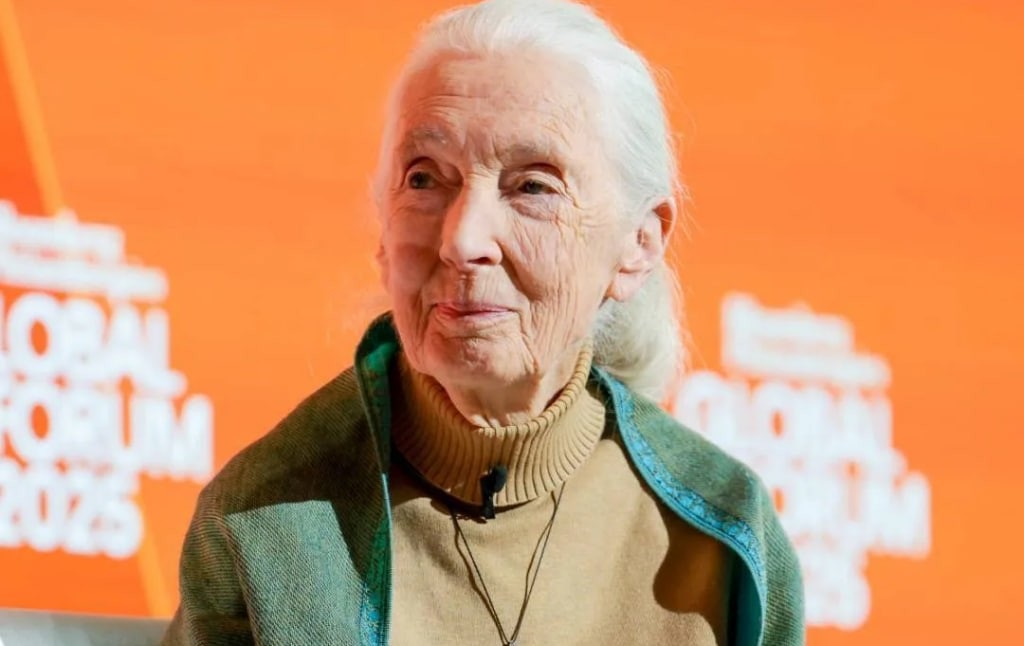 Новини культури - Відправити на іншу планету. Оприлюднено останнє звернення Джейн Гудолл